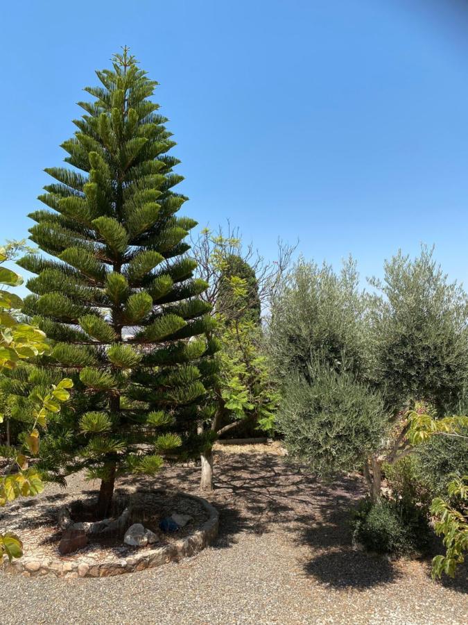 Alhaurín de la Torre B&B Casa Oceo - Malaga - Andalusie מראה חיצוני תמונה