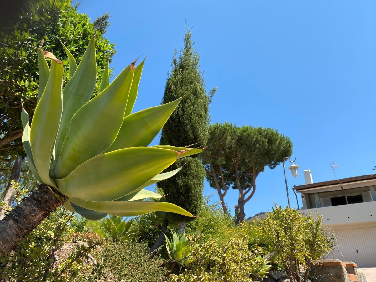 Alhaurín de la Torre B&B Casa Oceo - Malaga - Andalusie מראה חיצוני תמונה