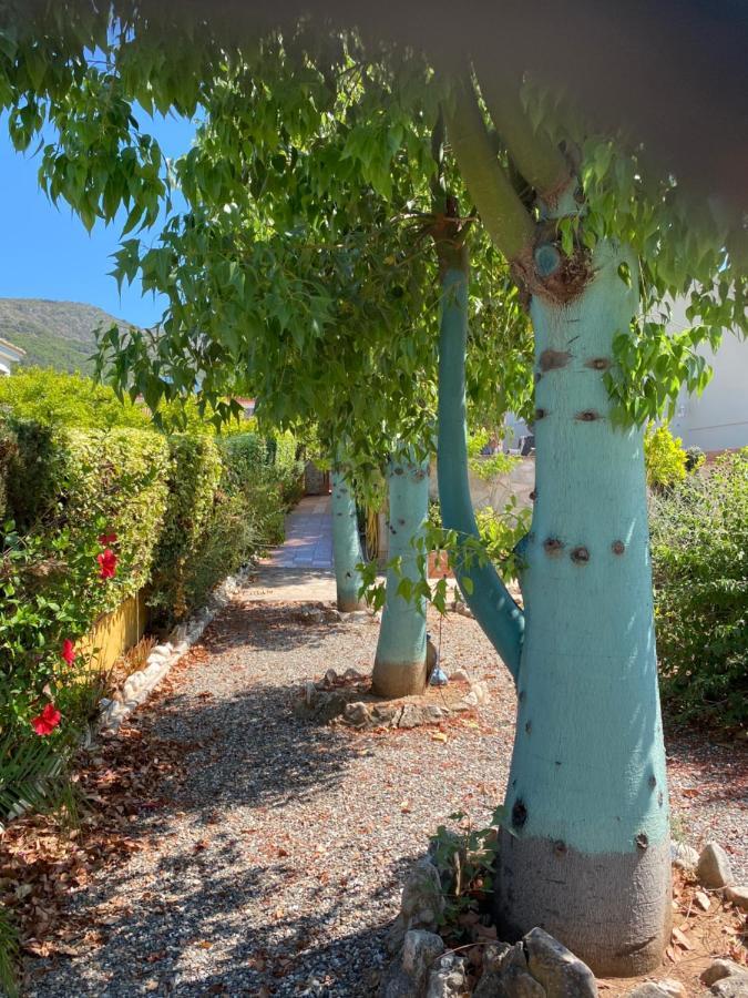 Alhaurín de la Torre B&B Casa Oceo - Malaga - Andalusie מראה חיצוני תמונה